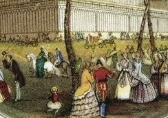 field of people
