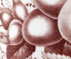 red fruit detail